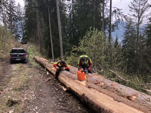 Holzverbau Sitenwald