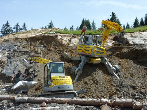 Hangsicherung Mittelstation Wallegg für Lenk Bergbahnen