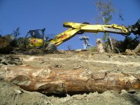 Holzverbau Wallegg für Lenk Bergbahnen