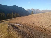 Pistenkorrektur Haslerberg für Lenk Bergbahnen