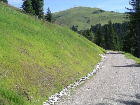 Ski- und Karrweg Bühlberg 