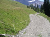 Ski- und Karrweg Bühlberg 