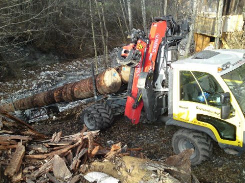 Transporter mit Holz