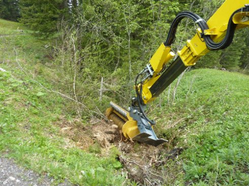 Mulcher im Einsatz